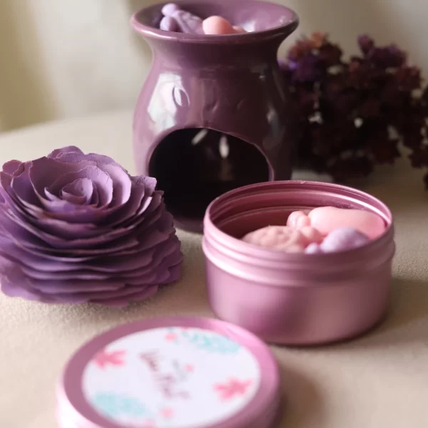 Kit de Wax Melts