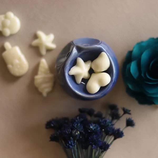 Kit de Wax Melts - Image 4